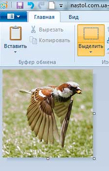 Как обрезать картинку