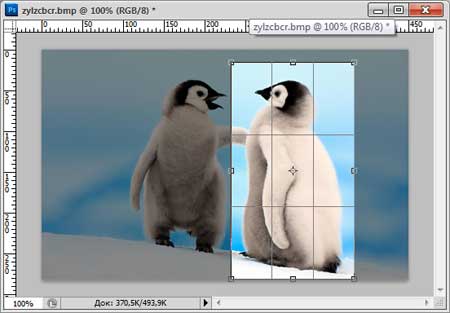 Как обрезать фотографию в фотошопе