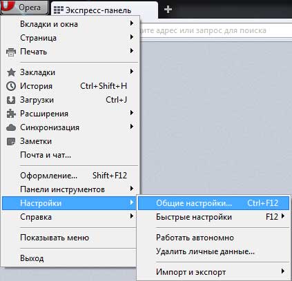 Домашняя страница в Opera