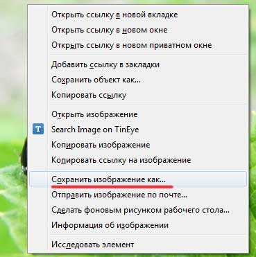 Как сохранить картинку из Интернета