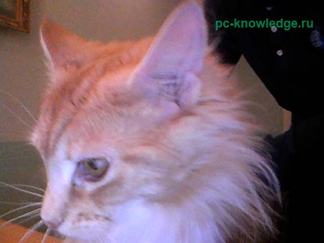 как сделать фото с веб камеры на ноутбуке как сделать фото с веб камеры на ноутбуке